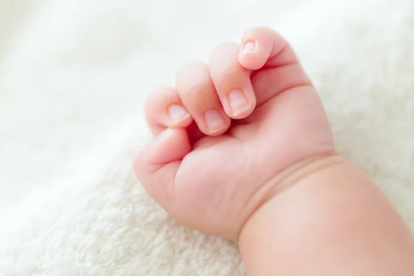Foro-da-mao-de-um-bebe Bebê de 8 meses é retirada do próprio velório em SC após sinais vitais